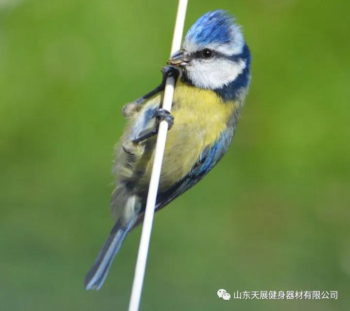 微信图片_20210820144542.jpg 微信图片_20210820144542.jpg