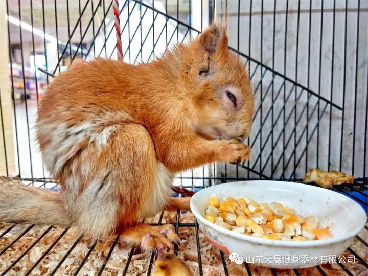 微信图片_20210821093117.jpg 微信图片_20210821093117.jpg