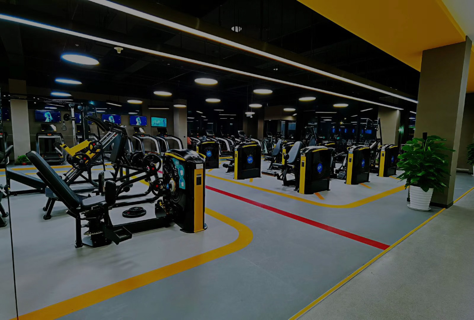 健身房、健身会所、健身工作室青青草视频成人网站